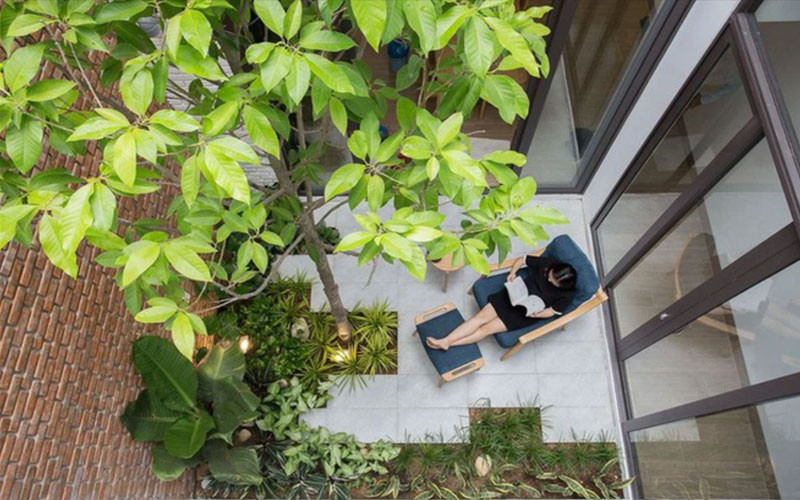 Cây xanh cho nhà phố kết hợp văn phòng