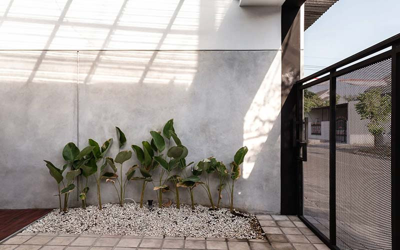 Cây xanh mang đến sức sống cho không gian