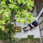 Giếng trời mang lại ánh sáng và thông gió cho nhà phố