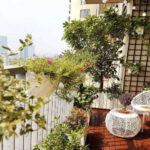 Thiết kế không gian xanh cho nhà phố với ban công