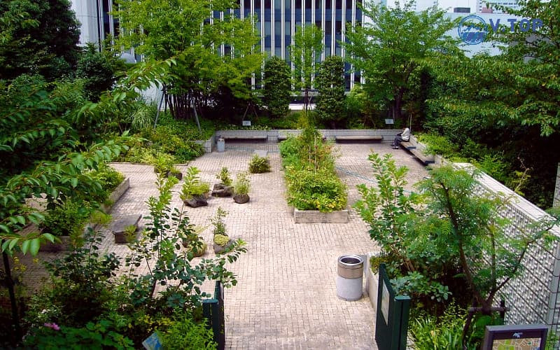 Thiết kế sân thượng xanh