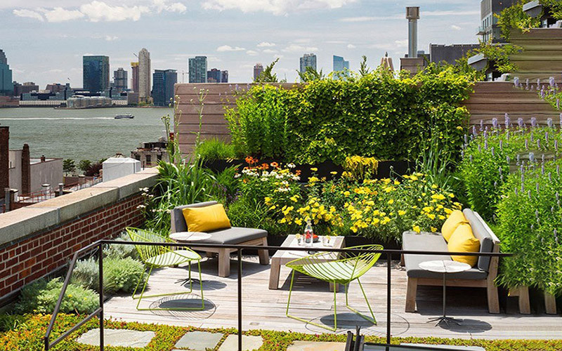 thiết kế sân vườn trên sân thượng với không gian mở
