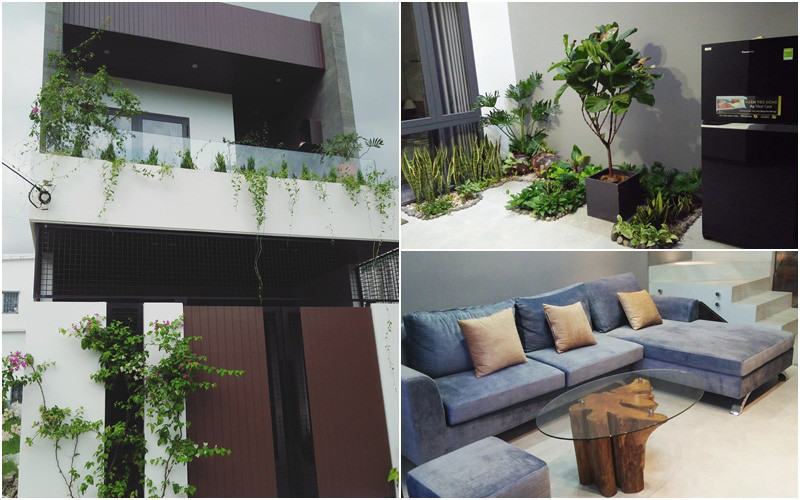 Trang trí giếng trời bằng cây xanh