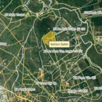 Sẽ có khu biệt thự, khách sạn trong công viên Sài Gòn Safari