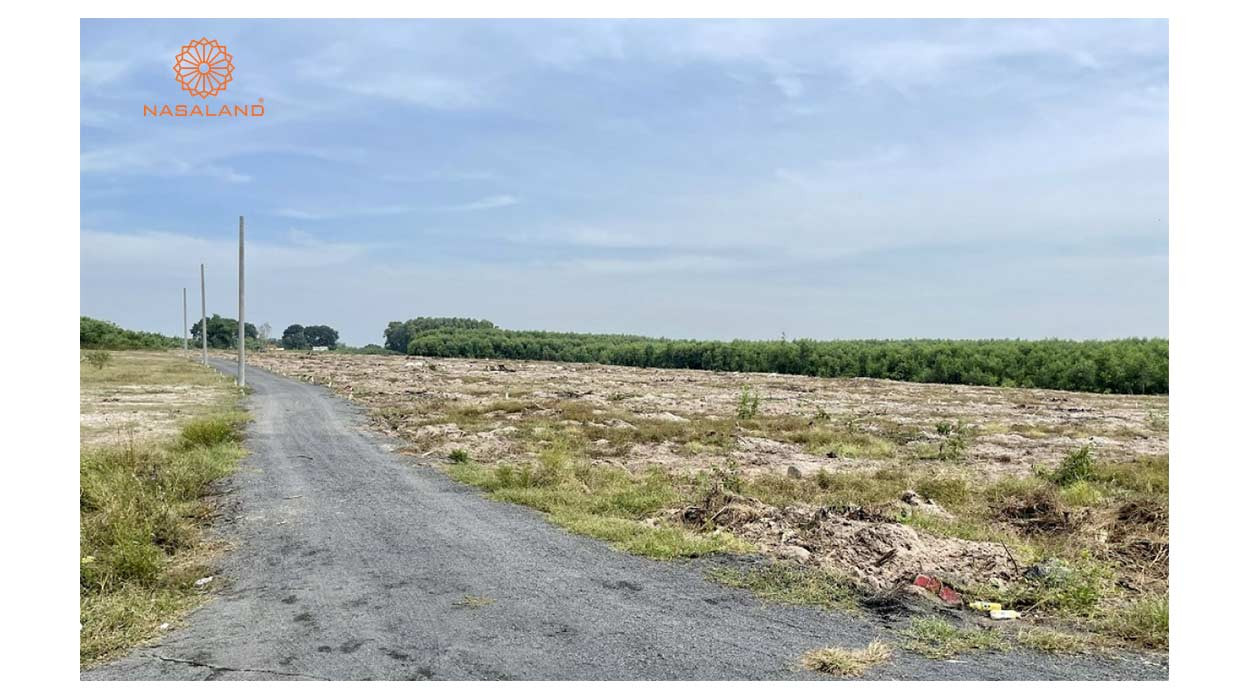 Đất bằng chưa sử dụng