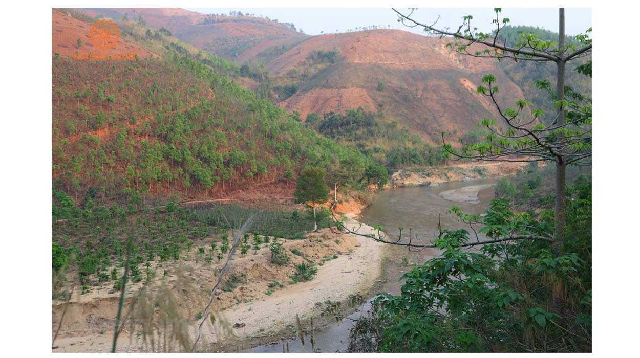 Đất chưa sử dụng là gì? Gồm những loại nào, quy định ra sao?