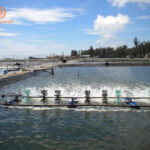 Đất nuôi trồng thủy sản là gì? Có lên thổ cư được không?