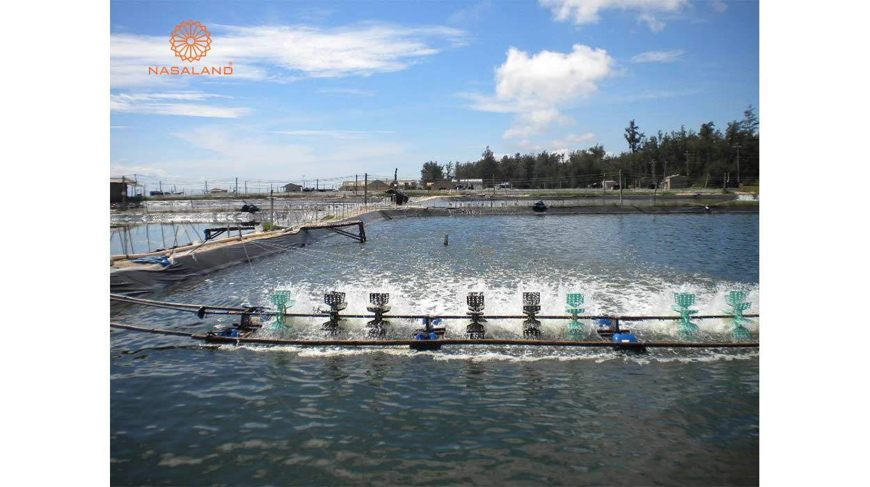 Đất nuôi trồng thủy sản với mặt nước trong veo