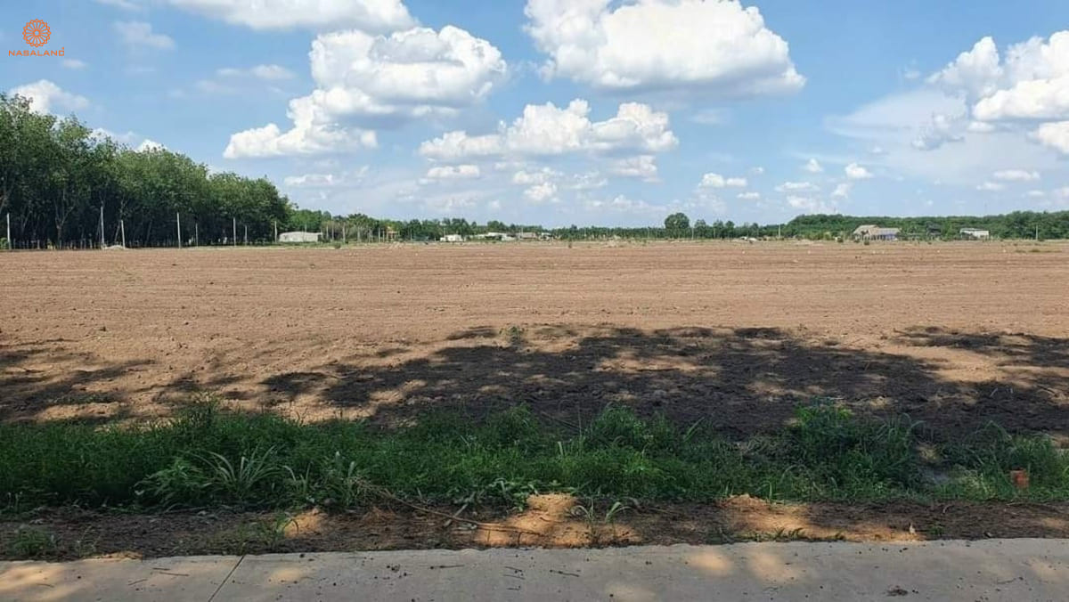 Đất sào là gì? Đặc điểm và cách tính sào đất đơn giản chuẩn nhất