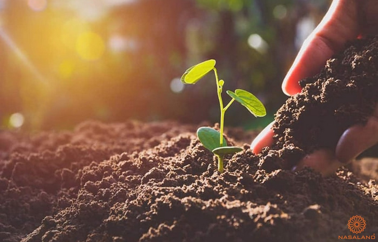 Đất thịt có ưu điểm vượt trội