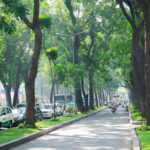 Xây dựng tuyến đường ven sông Sài Gòn
