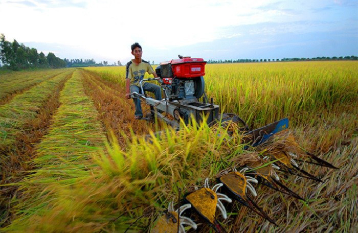 Cách tính giá đền bù đất nông nghiệp năm 2021