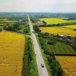 Tách thửa đất nông nghiệp là gì? Điều kiện, thủ tục