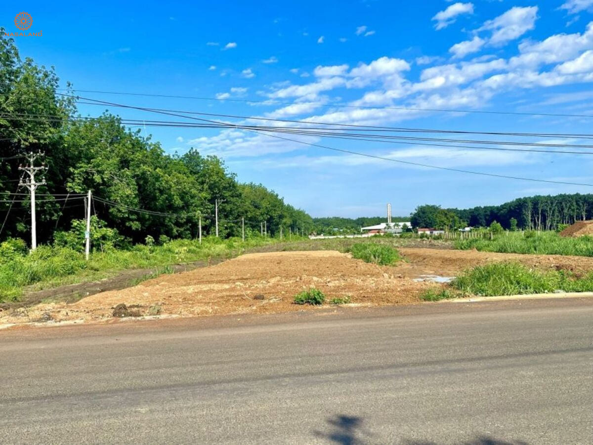 Tiềm năng đầu tư đất sào tại Đồng Nai, Lâm Đồng, Bình Phước, Long An