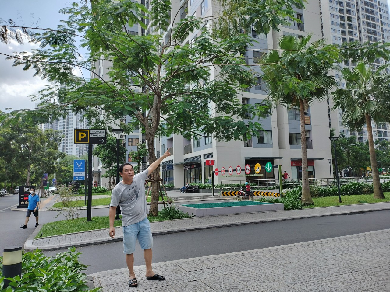 Căn hộ thông thoáng EHome