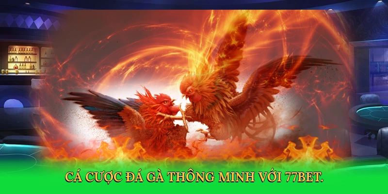 Đá Gà Thomo: Cá Cược Kịch Tính Cùng 77bet