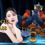 da-ga-cua-dao-ta88-1