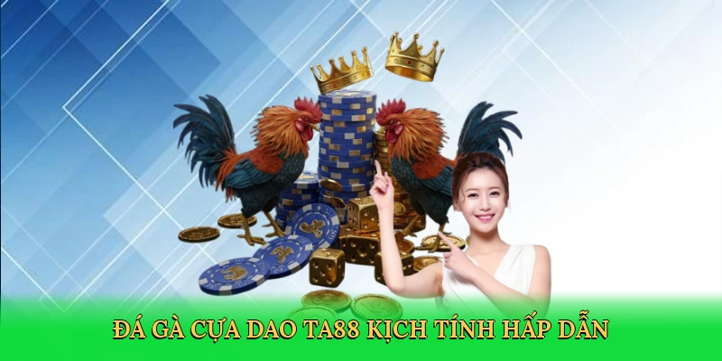 da-ga-cua-dao-ta88-kich-tinh-hap-dan-2