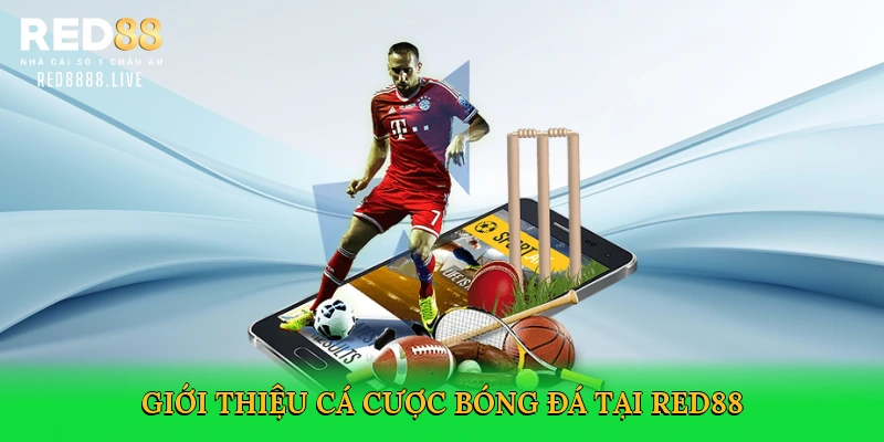 Cá Cược Bóng Đá – Sân Chơi Kịch Tính Cùng Nhà Cái Red88