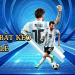 Cách Bắt Kèo Chẵn Lẻ Go789 – Bí Quyết Cá Cược Bóng Đá Thắng Lớn